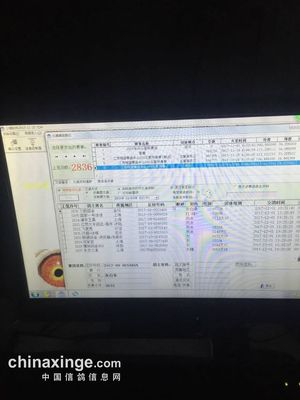 江苏翔盛公棚:预赛集鸽现场(图片) - 江苏翔盛赛鸽中心 - 中国信鸽信息网公棚信息www.chinaxinge.com