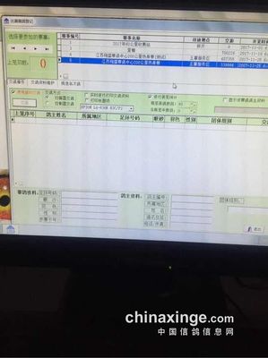 江苏翔盛公棚:热身赛集鸽现场(图片) - 江苏翔盛赛鸽中心 - 中国信鸽信息网公棚信息www.chinaxinge.com