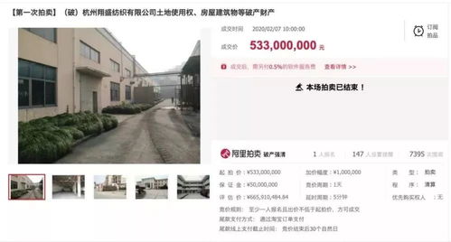 老牌萧山四十万吨聚酯工厂翔盛纺织拍出5.33亿 谁是背后买家