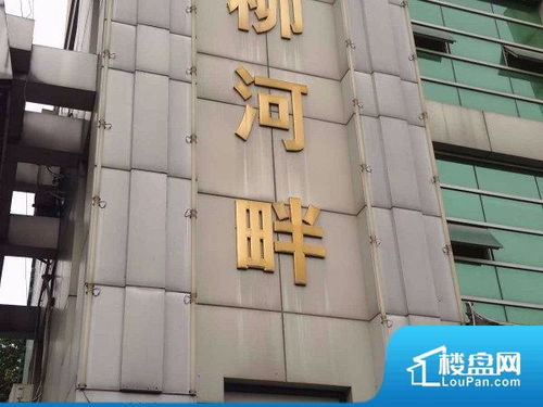 合肥中翔盛景名苑小区实景图 合肥楼盘网