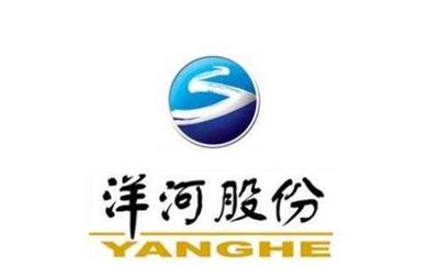 洋河集团涉亿元担保被诉 被担保方已是“老赖”