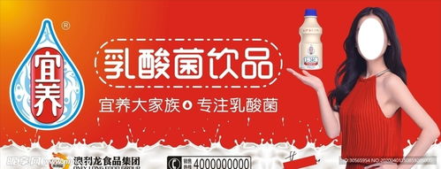 澳利龙食品宜养设计图 室外广告设计