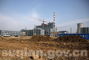 宿迁市委领导视察翔盛粘胶纤维项目的建设情况 图